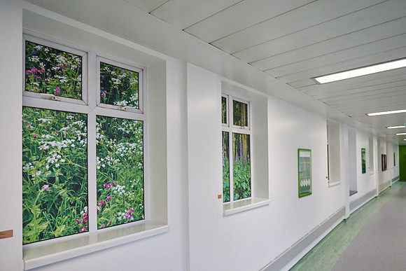 Wythenshawe Hospital Hybrid Theatres Artworks