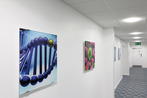 PhotoAcrylic, 0.6 x 0.6m, Invitrogen, Glasgow