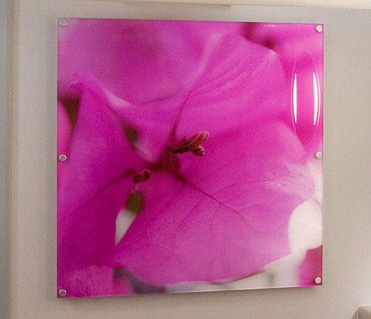 PhotoAcrylic, 1m x 1m, Lotus Cars, Norfolk