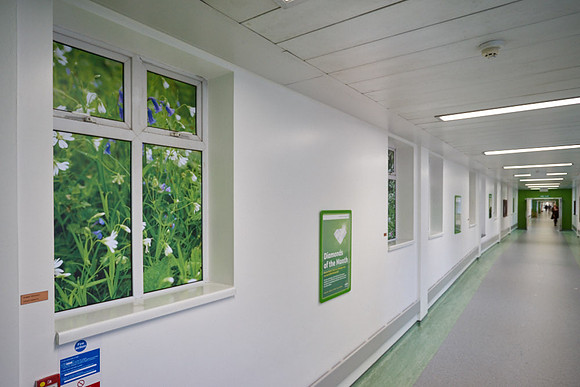 Wythenshawe Hospital Hybrid Theatres Artworks