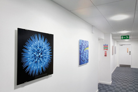 PhotoAcrylic, 0.6 x 0.6m, Invitrogen, Glasgow