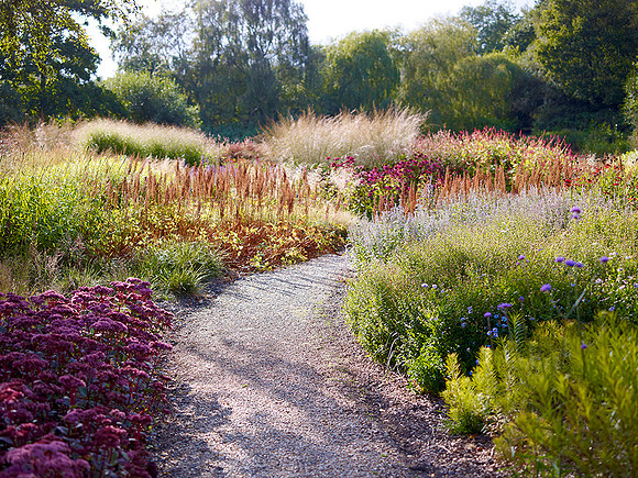 V6G21  The Millennium Garden, Pensthorpe Wildlife Park, Norfolk