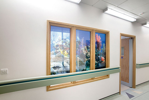 Artwork in hospitals