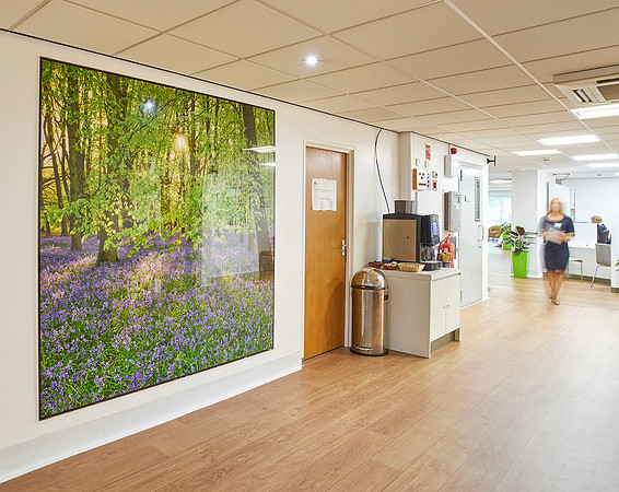 BMI Chiltern Hospital  PhotoGlassWorks 2m x 2m
