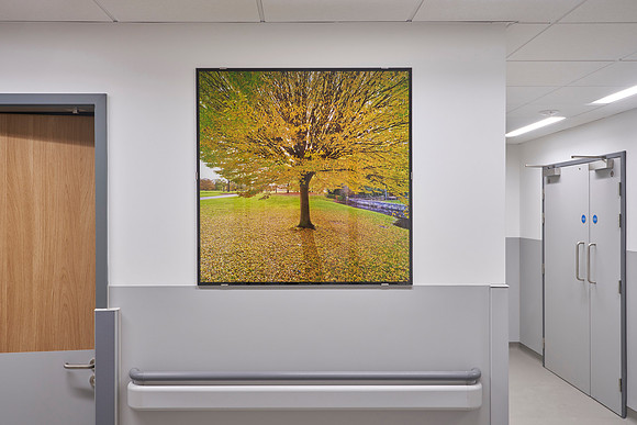 Wythenshawe Hospital New Emergency Department