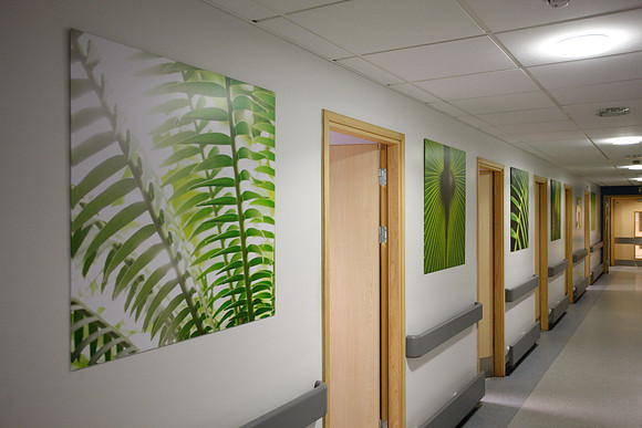 Artwork in hospitals