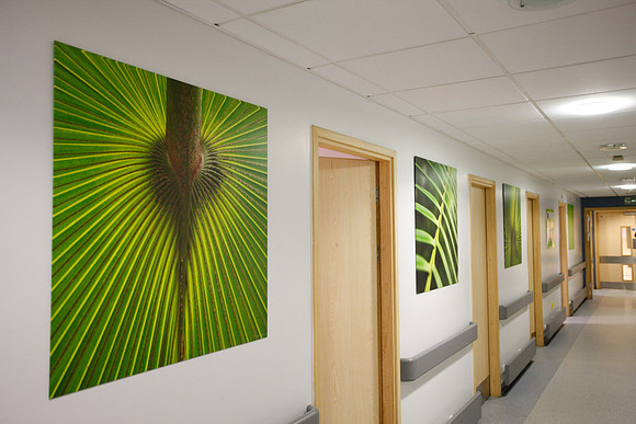 Artwork in hospitals