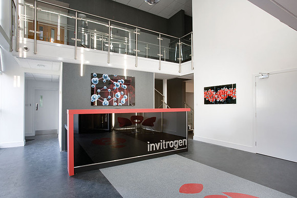 PhotoGlassWorks Back Lit, 1.35m x 0.9m, Invitrogen, Glasgow