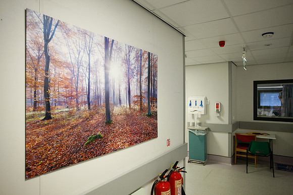 Artwork in hospitals