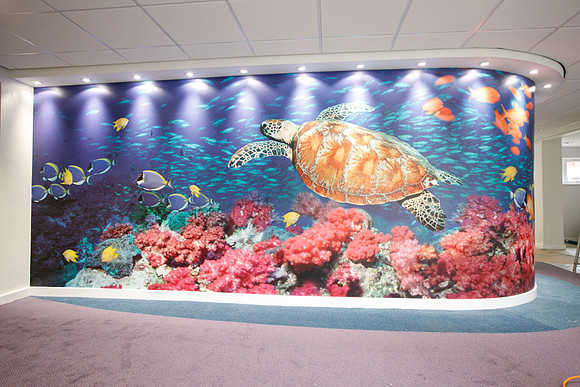 Artwork in hospitals