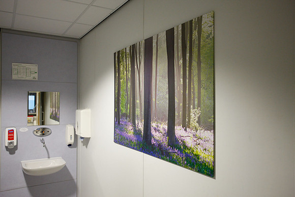 Artwork in hospitals