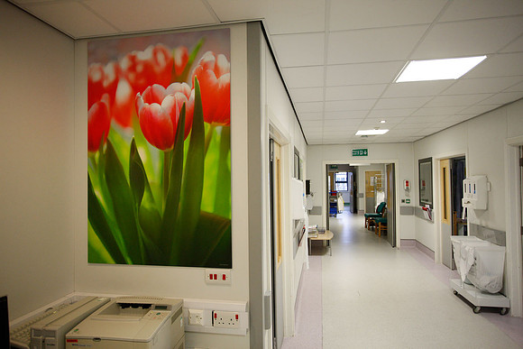 Artwork in hospitals