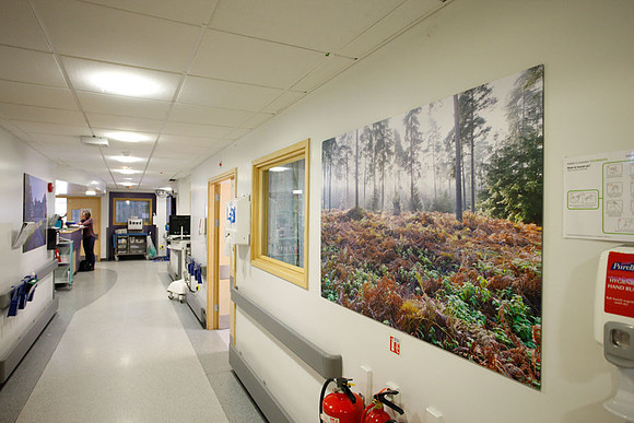 PhotoPanels, 1.35m x 0.9m, Satin Finish, UHSM Manchester