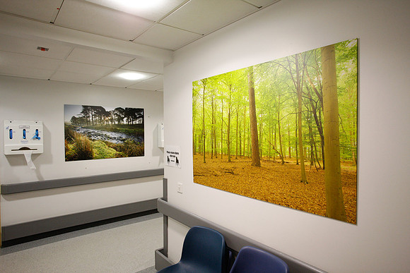 Artwork in hospitals