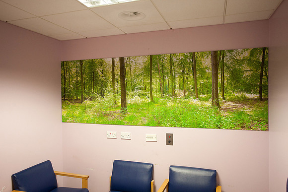 Artwork in hospitals