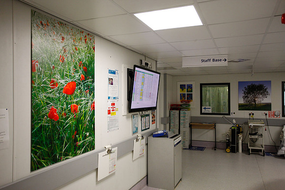 Artwork in hospitals